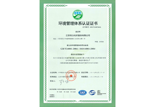 伊人网在线化纤环境管理体系认证证书